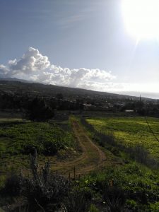 Explotación de Agricultura Ecológica