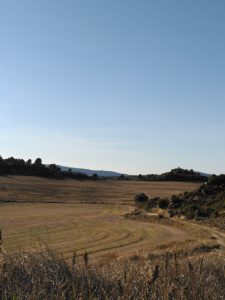 campo agricultura intensiva llevada a cabo por agricultor genuino