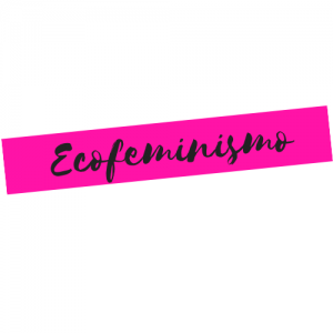 Definición y origen del ecofeminismo